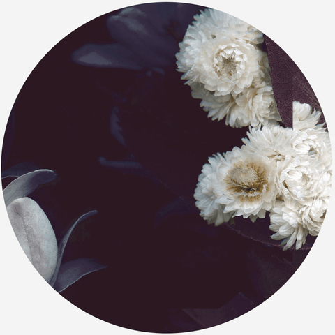 Un Bouquet pour Simone - Raoul et Simone