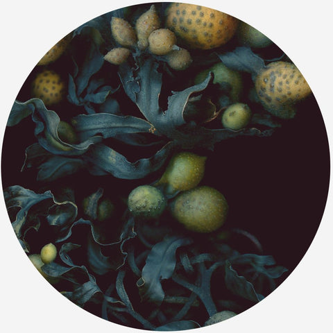 LIT.TO.RA.LIS - Raoul et Simone