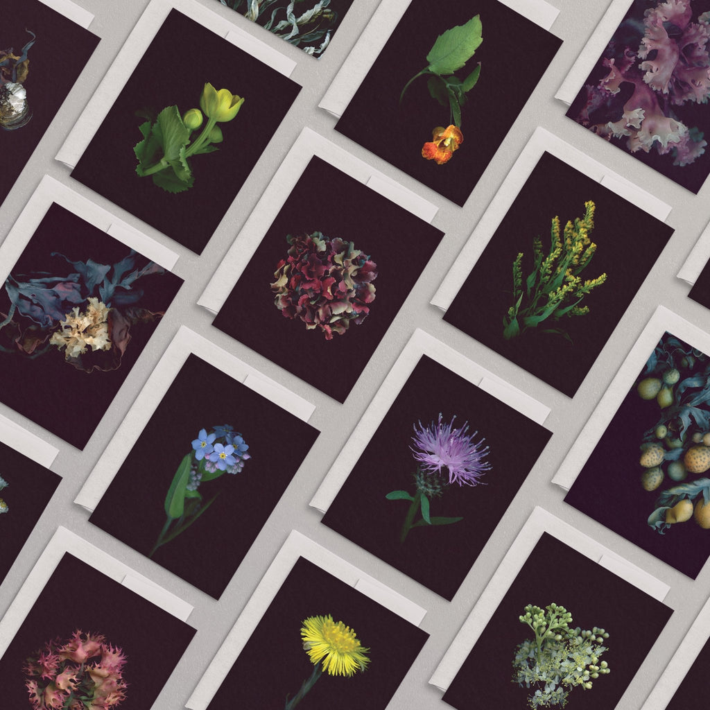 3 FREE Greeting Cards - Raoul et Simone