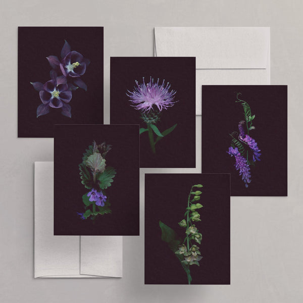 Set of 5 Greeting Cards / Les Mystérieuses - Raoul et Simone