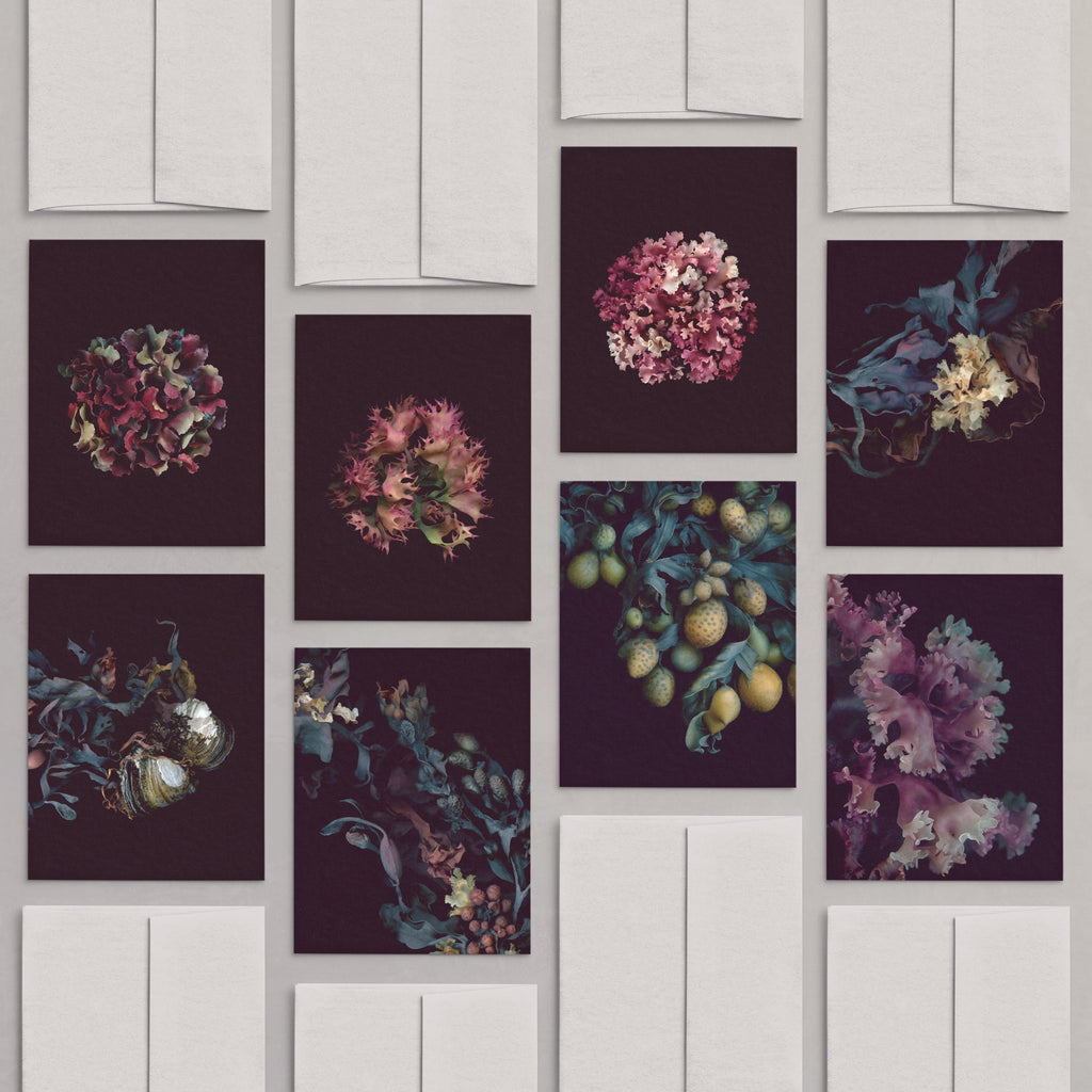 Set of 8 Greeting Cards / Sea - Raoul et Simone