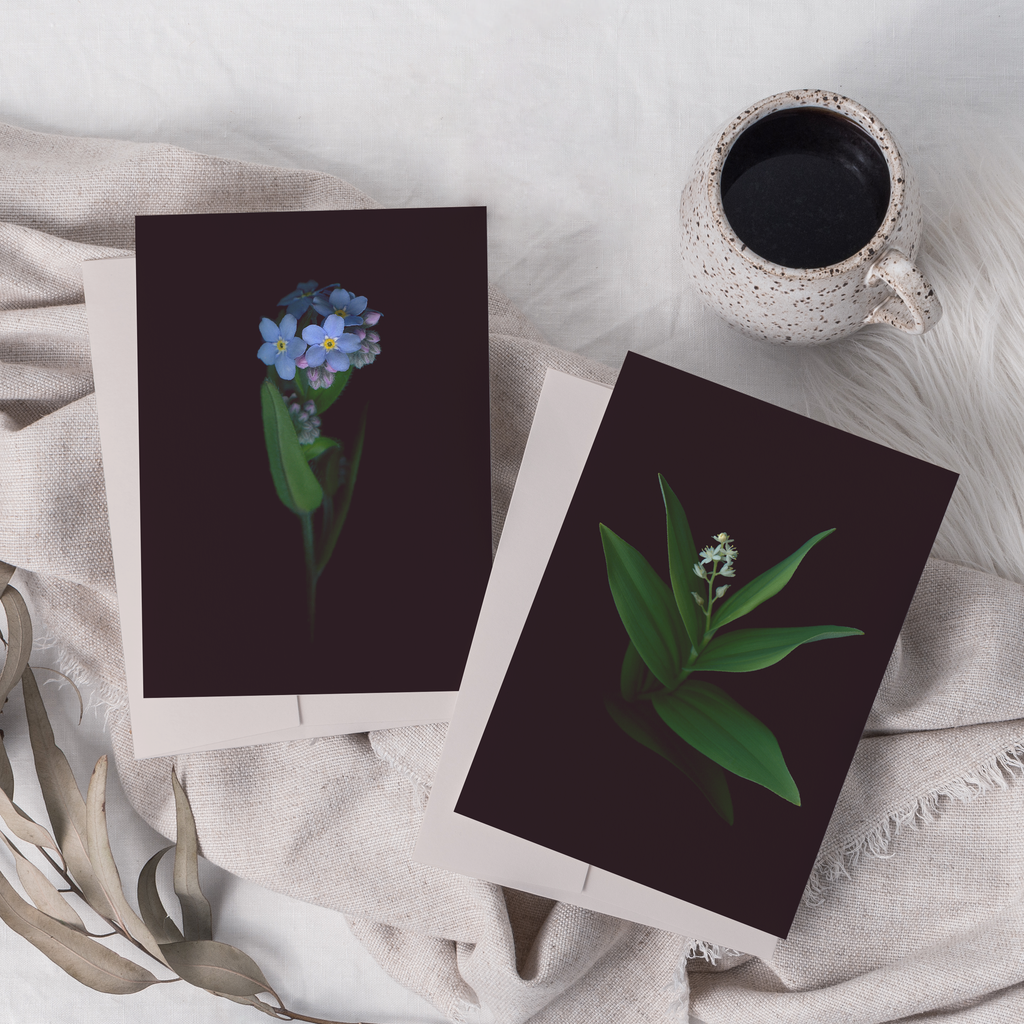 Greeting cards with botanical illustration of Canada Mayflower and Woodland Forget-me-not.