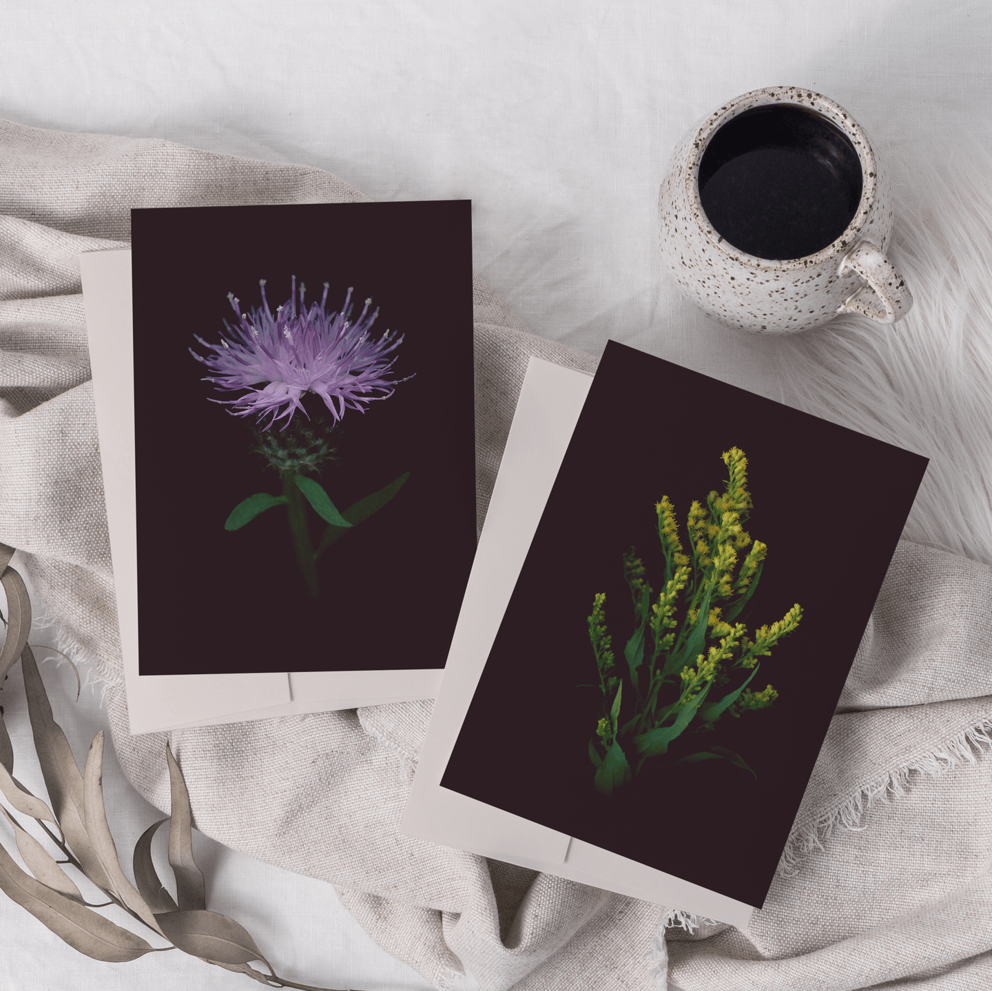 Greeting Card / Canada Goldenrod - Raoul et Simone