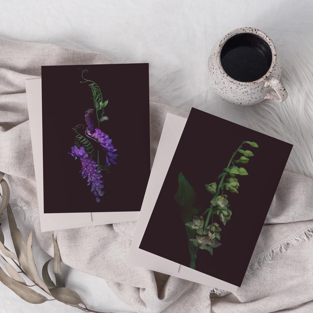 Greeting card with botanical illustration of Tufted Vetch and Broad-leaved Helleborine.