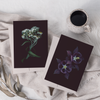 Greeting cards with botanical illustrations of Common Columbine and  Pearly Everlasting.