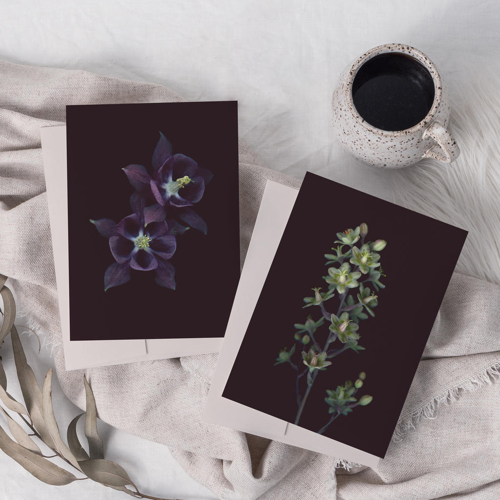 Greeting card with botanical illustration of  Commun Colombine and Mountain Deathcamas.