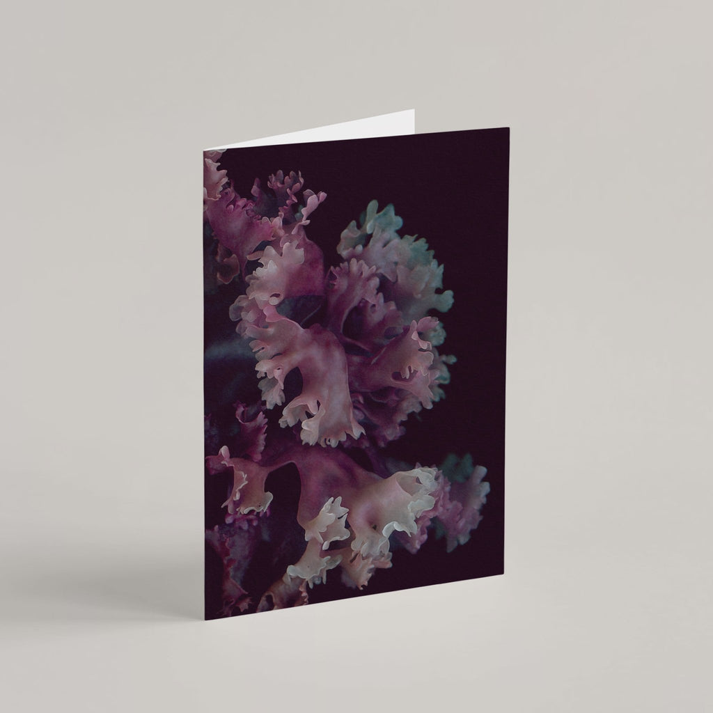 Set of 8 Greeting Cards / Sea - Raoul et Simone