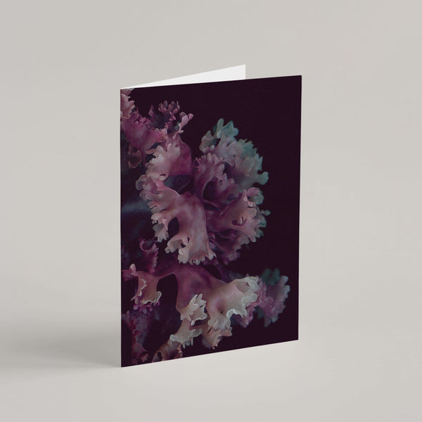 Set of 8 Greeting Cards / Sea - Raoul et Simone