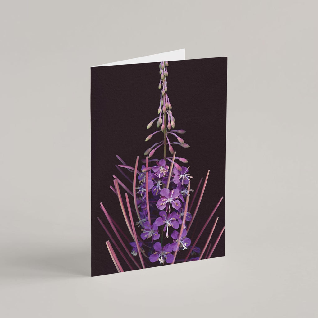 Raoul and Simone's Greeting Cards Set - Raoul et Simone