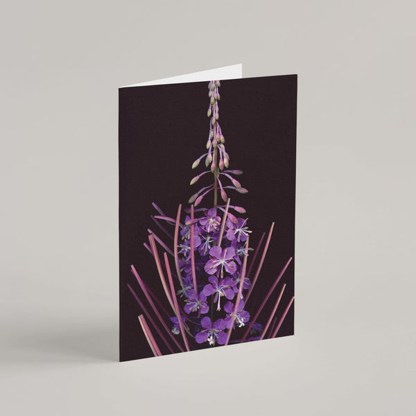 Raoul and Simone's Greeting Cards Set - Raoul et Simone