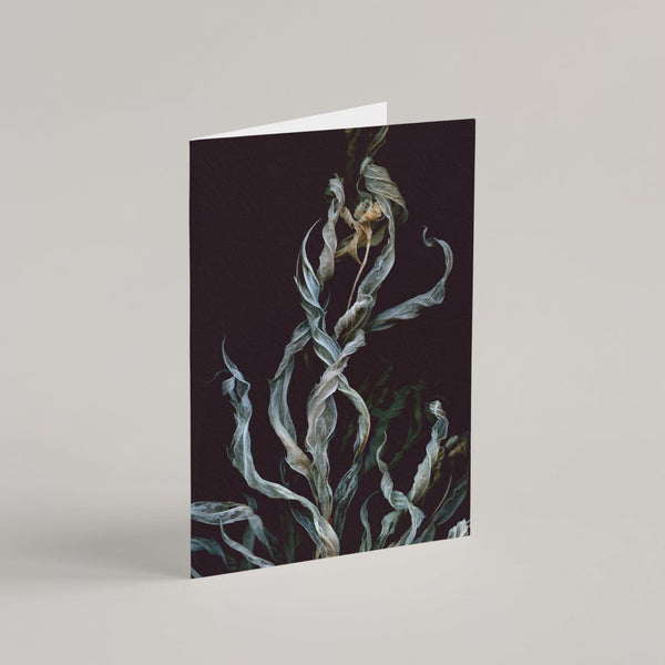 Raoul and Simone's Greeting Cards Set - Raoul et Simone