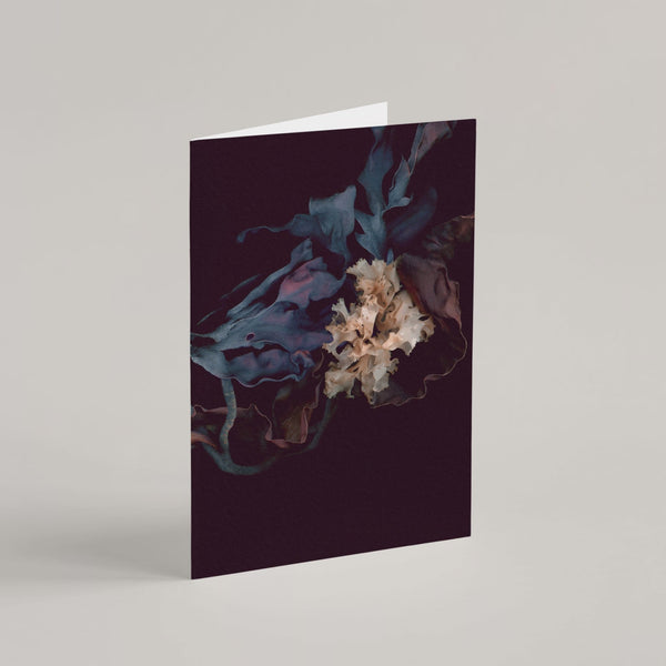 Set of 8 Greeting Cards / Sea - Raoul et Simone