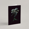 Set of 5 Greeting Cards / Les Blanches - Raoul et Simone