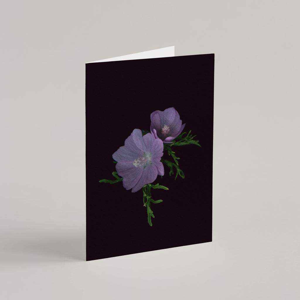 Set of 8 Greeting Cards / Forest - Raoul et Simone