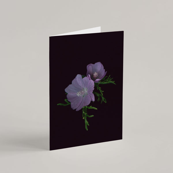 Set of 8 Greeting Cards / Forest - Raoul et Simone