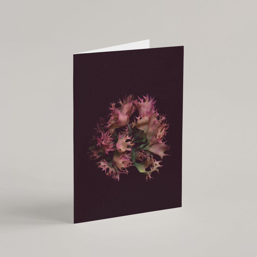 Set of 8 Greeting Cards / Sea - Raoul et Simone