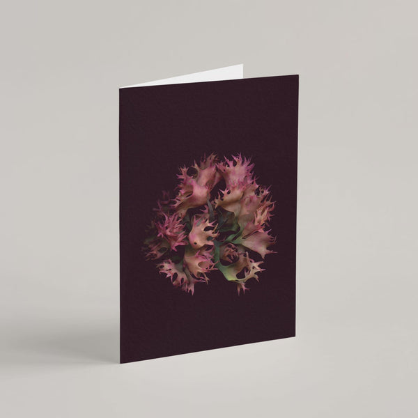 Set of 8 Greeting Cards / Sea - Raoul et Simone