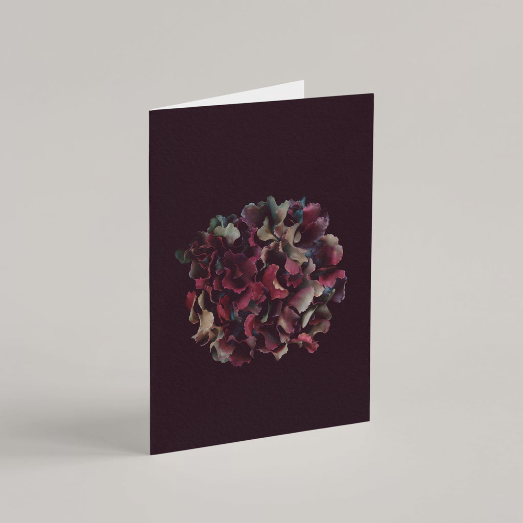 Greeting Cards Set / Irish Moss - Raoul et Simone