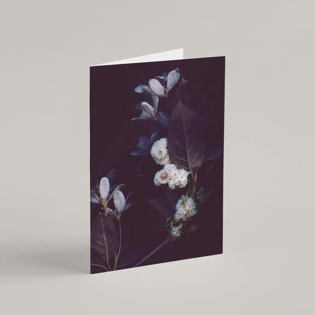 Raoul and Simone's Greeting Cards Set - Raoul et Simone