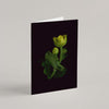 Set of 8 Greeting Cards / Forest - Raoul et Simone