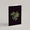 Set of 8 Greeting Cards / Forest - Raoul et Simone