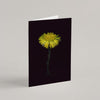 Set of 8 Greeting Cards / Forest - Raoul et Simone