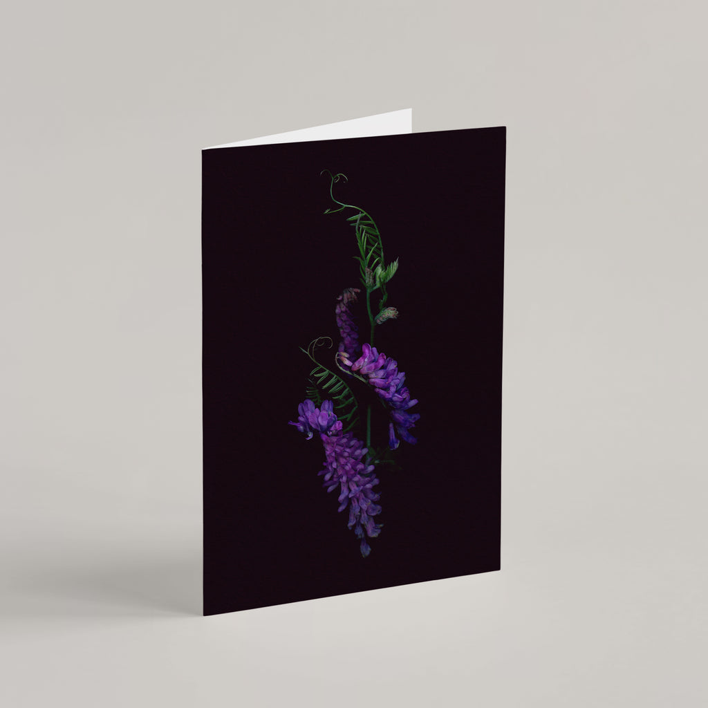 Set of 5 Greeting Cards / Les Mystérieuses - Raoul et Simone