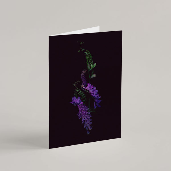 Set of 5 Greeting Cards / Les Mystérieuses - Raoul et Simone