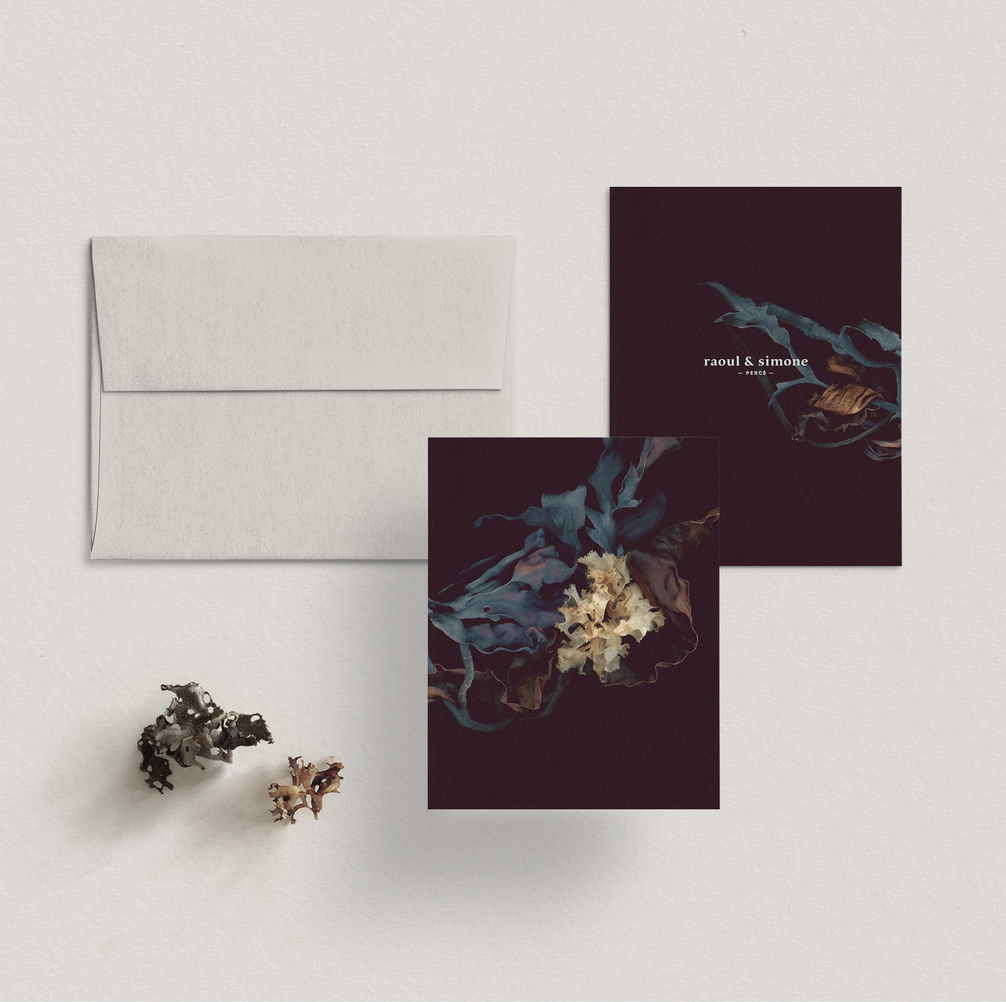 Greeting Card / St. Lawrence Algae Crown – Fragment No.4 - Raoul et Simone