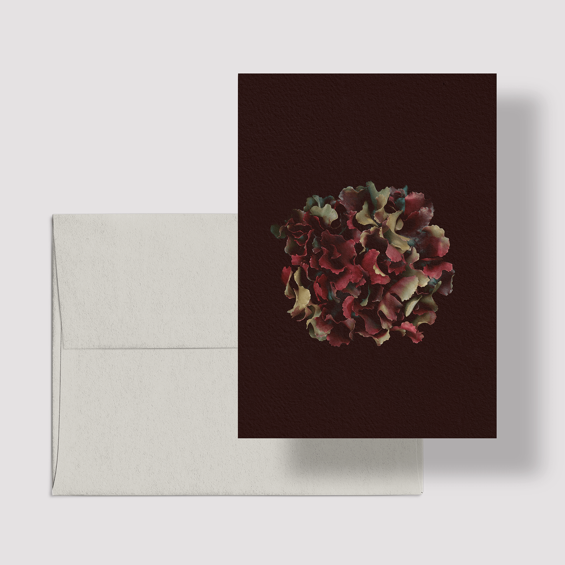 Greeting Card / Irish Moss - La Rouge - Raoul et Simone