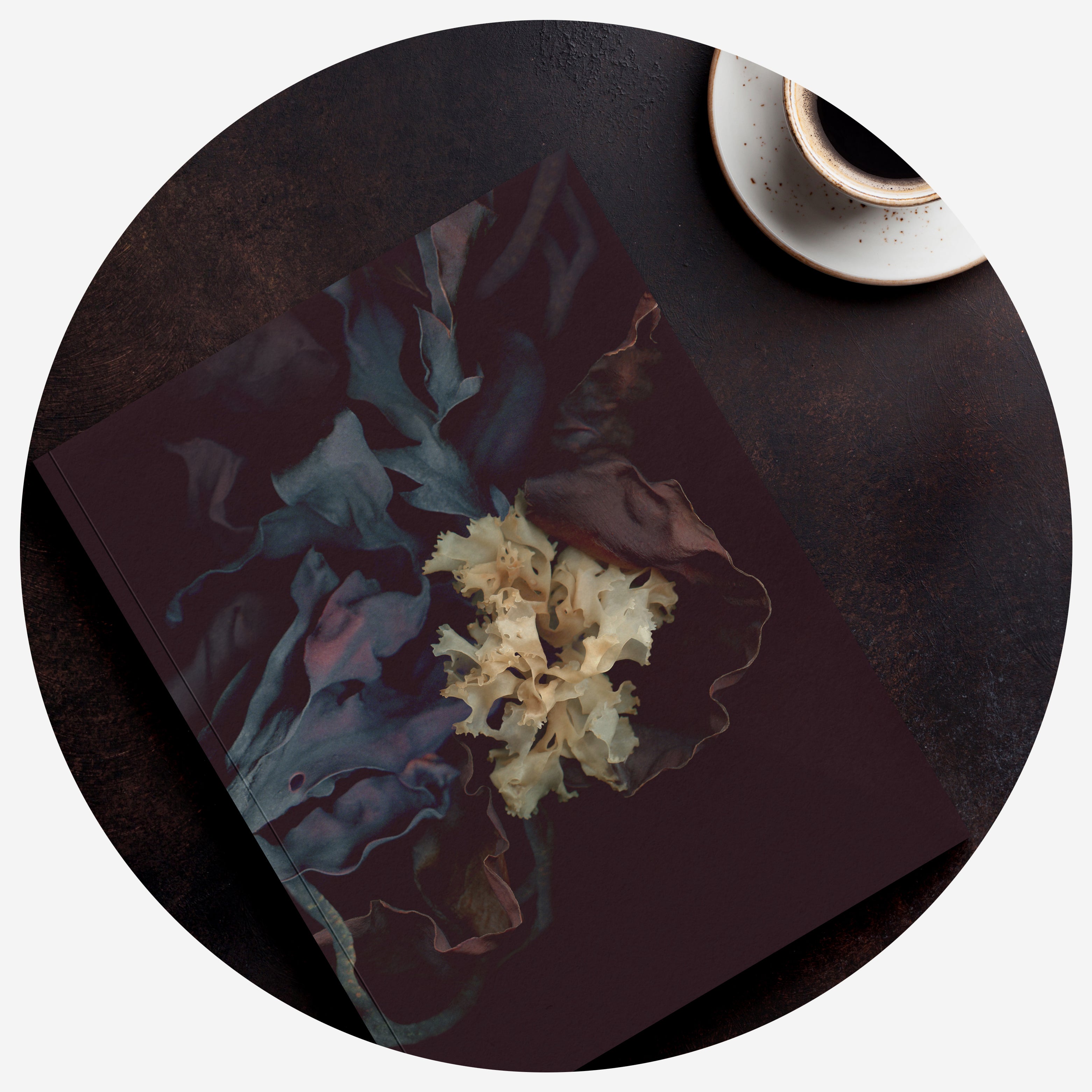 Describes the appearance of the image