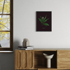 Starflower – No.1 (Maianthemum stellatum) - Raoul et Simone