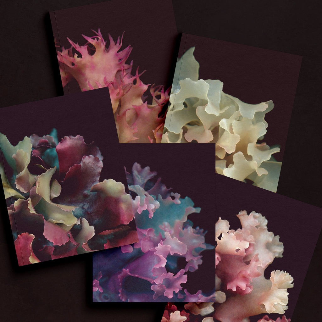 Irish Moss Mini - Notebooks Ensemble - Raoul et Simone