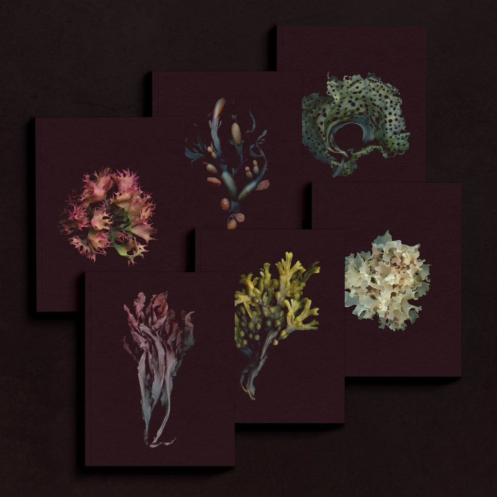 Mini Notebook Ensemble - Raoul et Simone