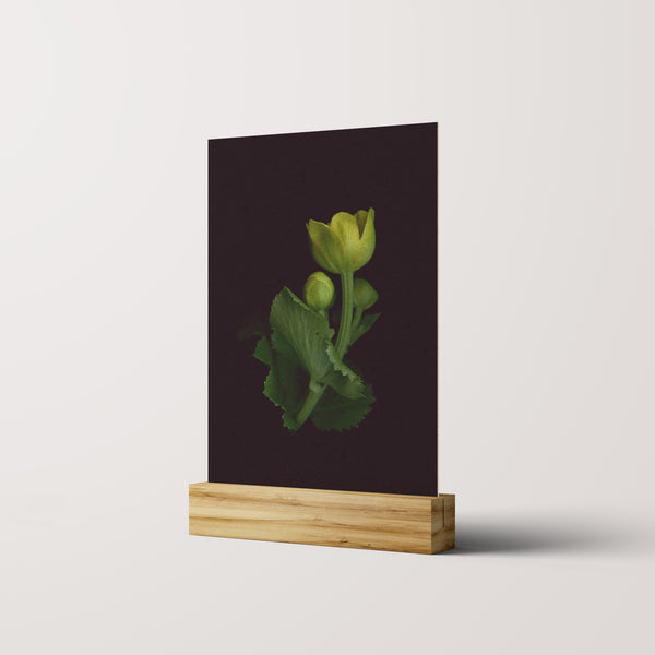 Mini - Prints - Raoul et Simone