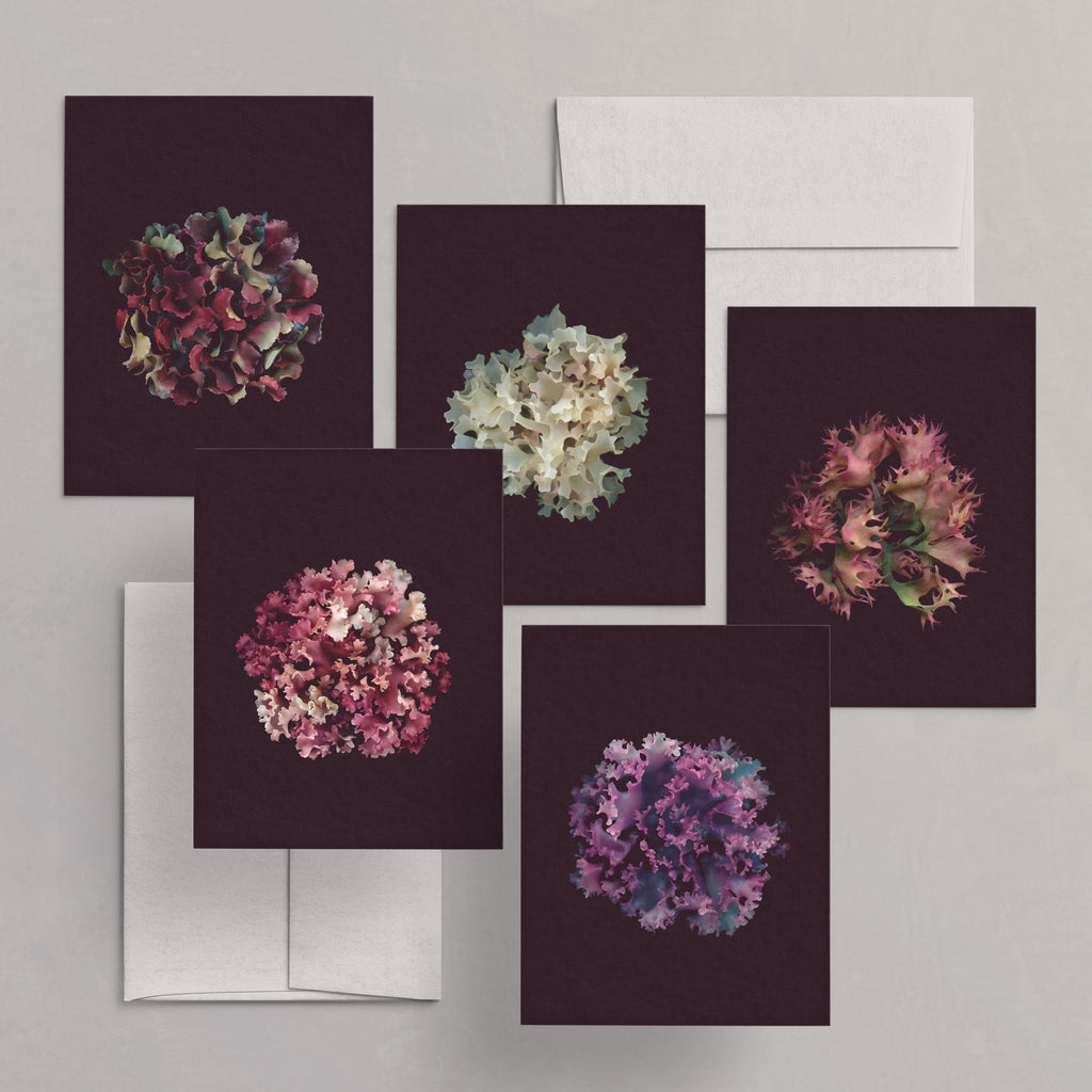 Set of 5 Greeting Cards / Irish Moss - Raoul et Simone
