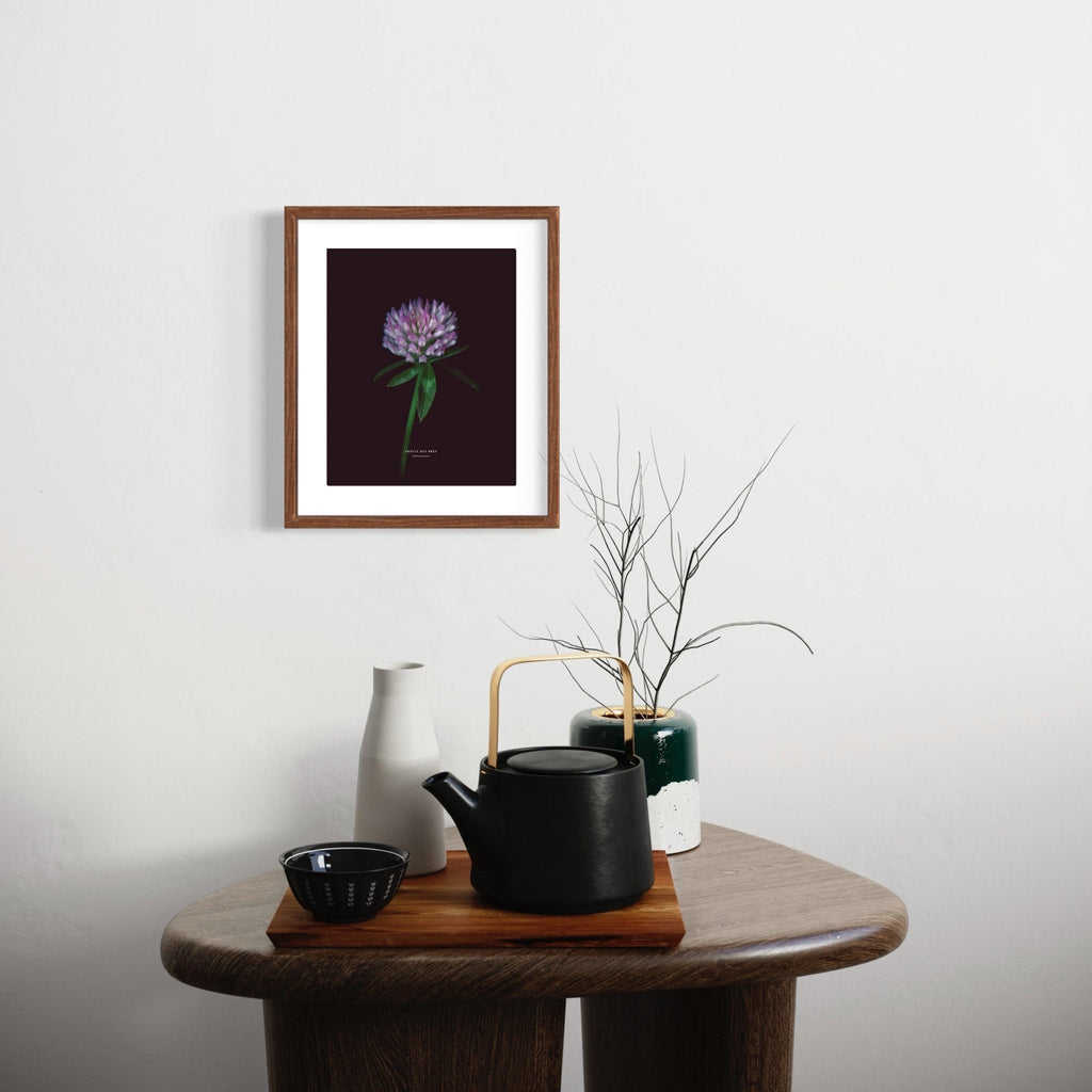 Red Clover (Trifolium pratense) - Raoul et Simone