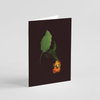 Greeting card with botanical illustration of Orange Jewelweed, orange and yellow flower from the Boreal Seasons collection.