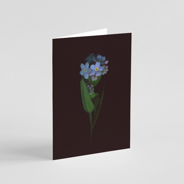 Greeting card with botanical illustration of Woodland Forget-me-not, blue, purple and pink flowers from the Boreal Seasons collection.