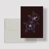 Greeting card with botanical illustration of Common Columbine, purple flower from the Boreal Seasons collection.