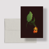 Greeting card with botanical illustration of Orange Jewelweed, orange and yellow flower from the Boreal Seasons collection.