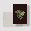 Greeting card with botanical illustration of Meadowsweet, white flower from the Boreal Seasons collection.