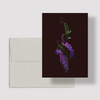 Greeting card with botanical illustration of Tufted Vetch, purple flower from the Boreal Seasons collection.