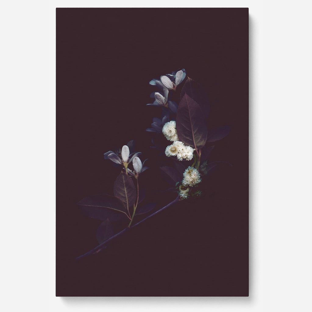 Bouquet No. 2 – Nocturne / Sur Toile - Raoul & Simone
