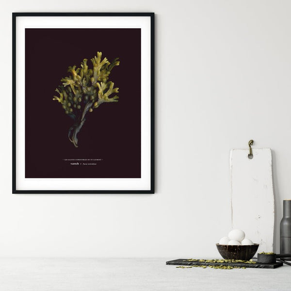 Fucus - Raoul et Simone