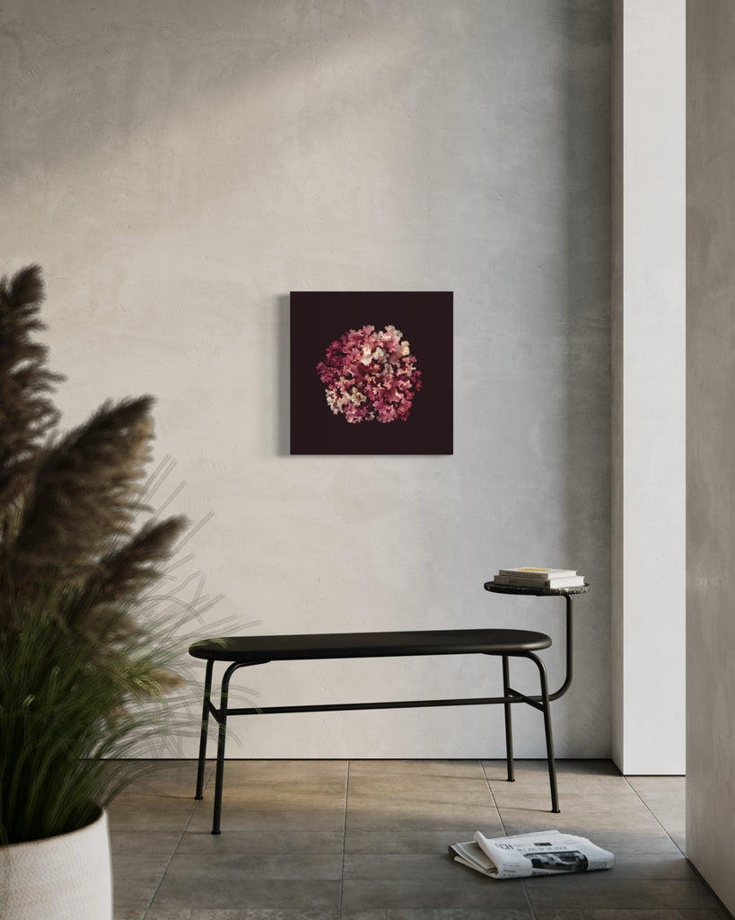 Irish Moss – La Pourpre / Giclée On Canvas - Raoul et Simone