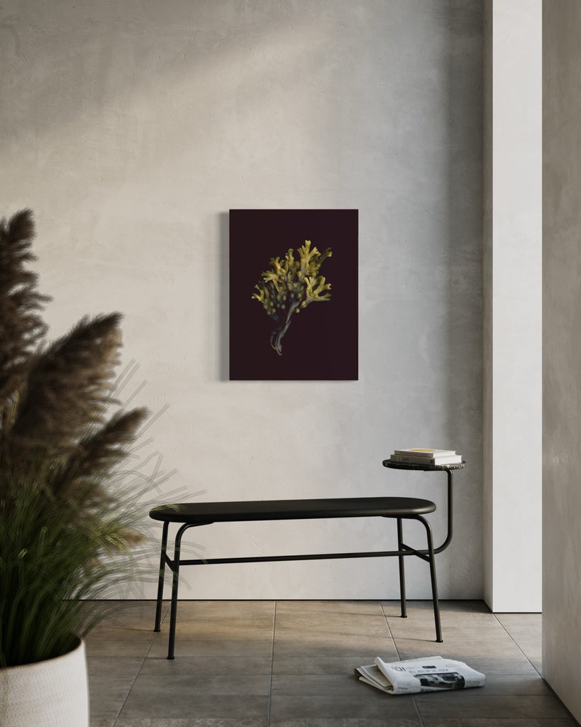 Fucus / Giclée On Canvas - Raoul et Simone
