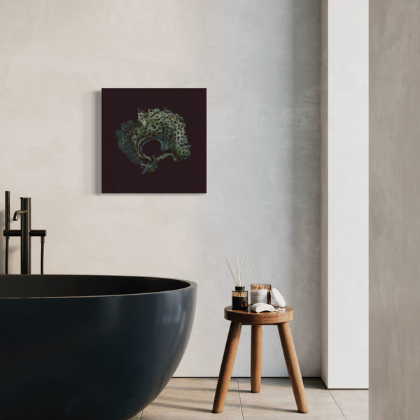 Sea Colander / Giclée On Canvas - Raoul et Simone