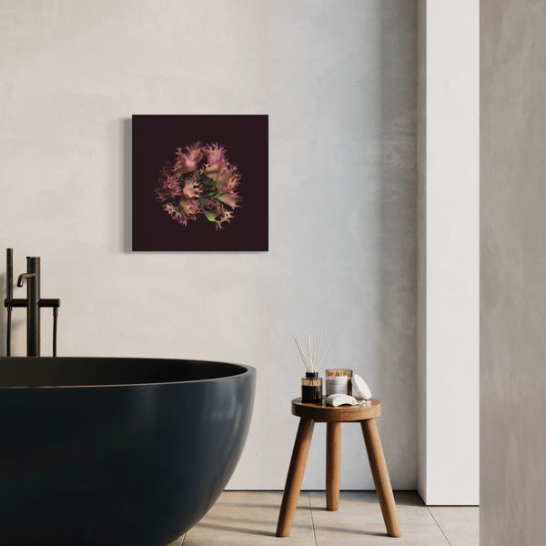 Irish Moss – La Rose / Giclée On Canvas - Raoul et Simone