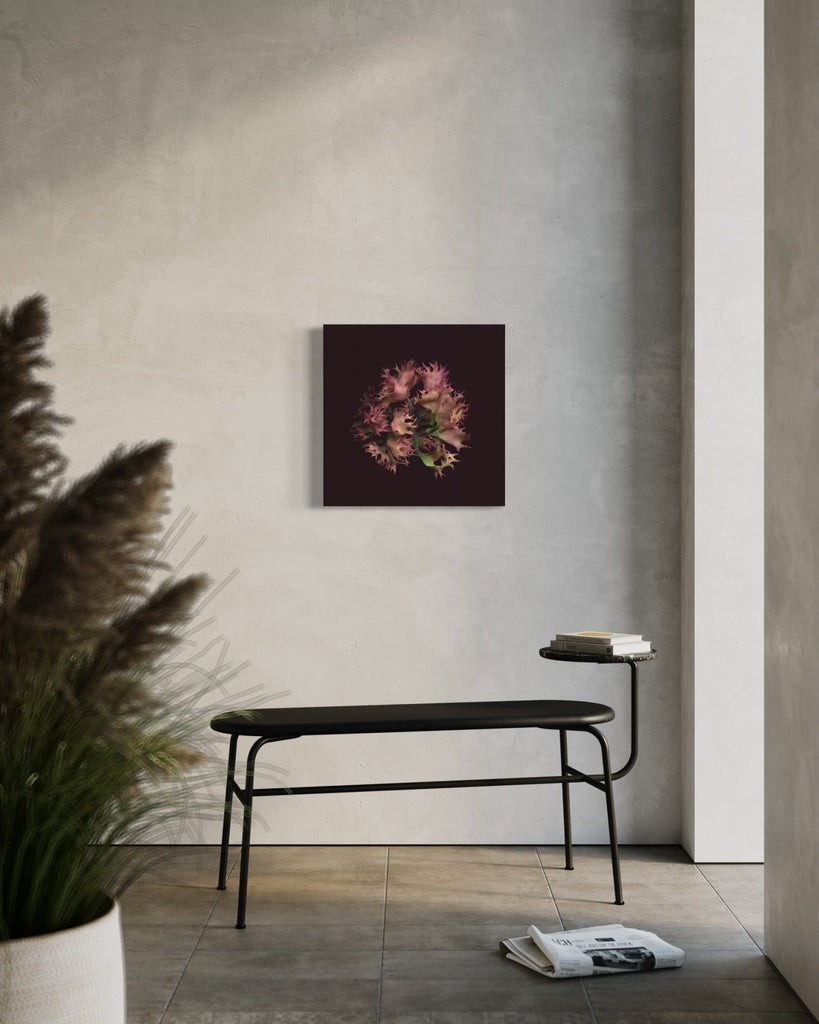 Irish Moss – La Rose / Giclée On Canvas - Raoul et Simone